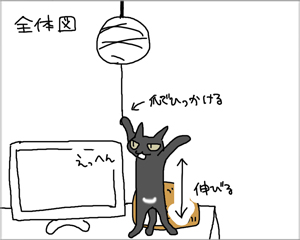 電気をつける猫